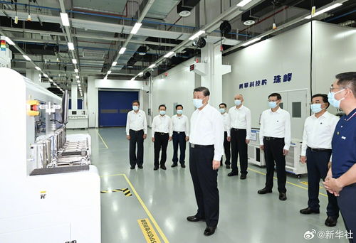 江门信息科技领域人才涌现状——江门新闻网专题报道